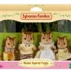 Sylvanian Families Familie Walnoot Eekhoorn SF4172 -Speelwereld Verkoop 60164051 2089589839