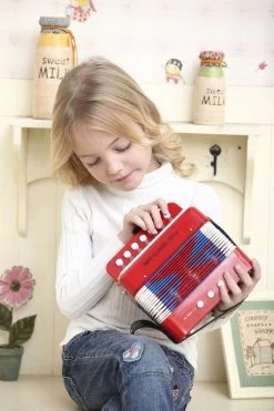 Accordeon Met Muziekboek -Speelwereld Verkoop accordeon new classic toys 10055 1 1