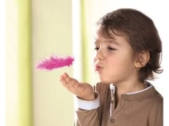 Vliegende Veren -Speelwereld Verkoop haba gezelschapsspel vliegende veren 3