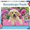 Harige Vriendjes – Puzzelbox Ravensburger 2 X 24 Stukjes -Speelwereld Verkoop harige vriendjes puzzelbox ravensburger