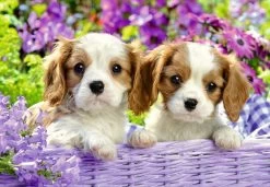 Harige Vriendjes – Puzzelbox Ravensburger 2 X 24 Stukjes -Speelwereld Verkoop harige vriendjes puzzelbox ravensburger 2