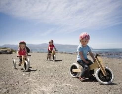 Wishbonebike 3-in-1 Loopfiets -Speelwereld Verkoop loopfiets wishbone bike 4