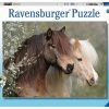 Mooie Paarden – Ravensburger – 150 Stukjes XXL -Speelwereld Verkoop mooie paarden ravensburger puzzel