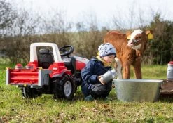 RollyToys Rolly Melkbussen -Speelwereld Verkoop rolly toys rolly toys 408894 rolly rollybox melkbussen 4 1