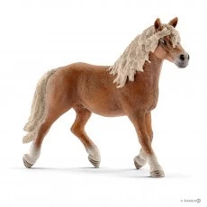 Schleich 13813 Haflinger Hengst Paard HorseClub 4 Schleich 13813 Haflinger Hengst Paard HorseClub - Afbeelding 2