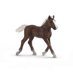 Schleich 13899 Schwarzwalder Veulen HorseClub