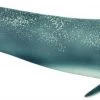 Schleich 14806 Blauwe Walvis WildLife